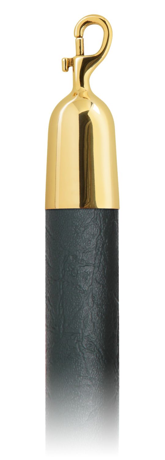 Vinyl 1.5 in Rope with Snap Hooks | Lavi - MG - Moss Green Vinyl - 00 - Polished Brass