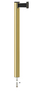 Beltrac 3000 Removable Retractable Belt Stanchion - GD - Gold - Pin Socket