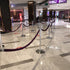 Flat top post and rope barrier line