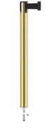 Contempo Removable Retractable Belt Stanchion - GD - Gold - Pin Socket