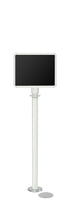 Magnetic Traditional Sign Stand | Lavi - LW - Lavi White - 11 x 14 · Horizontal · Slotted