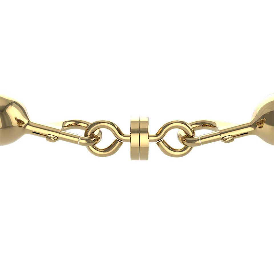 Magnetic Breakaway for Stanchion Rope | Visiontron